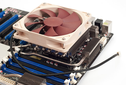 Prolimatech Samuel 17 Prolimatech Samuel 17