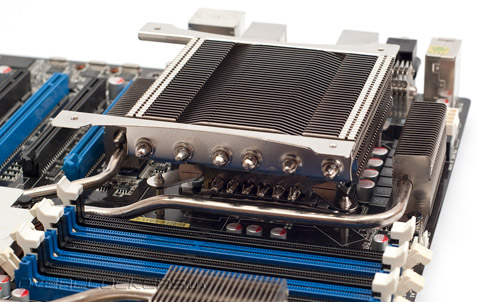 Prolimatech Samuel 17 Prolimatech Samuel 17