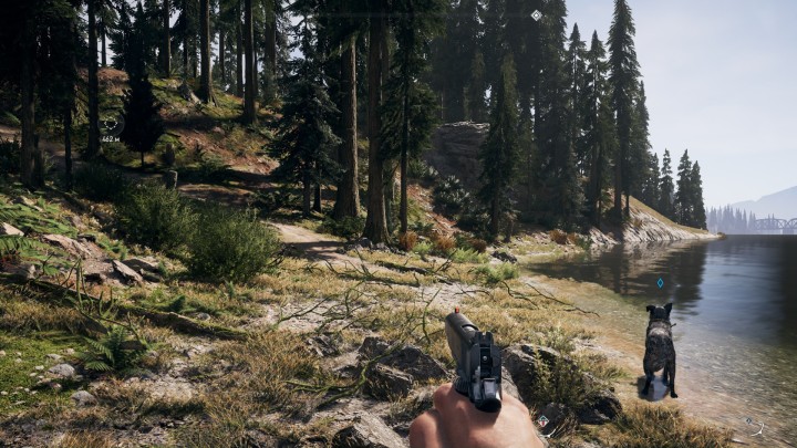 Far Cry 5