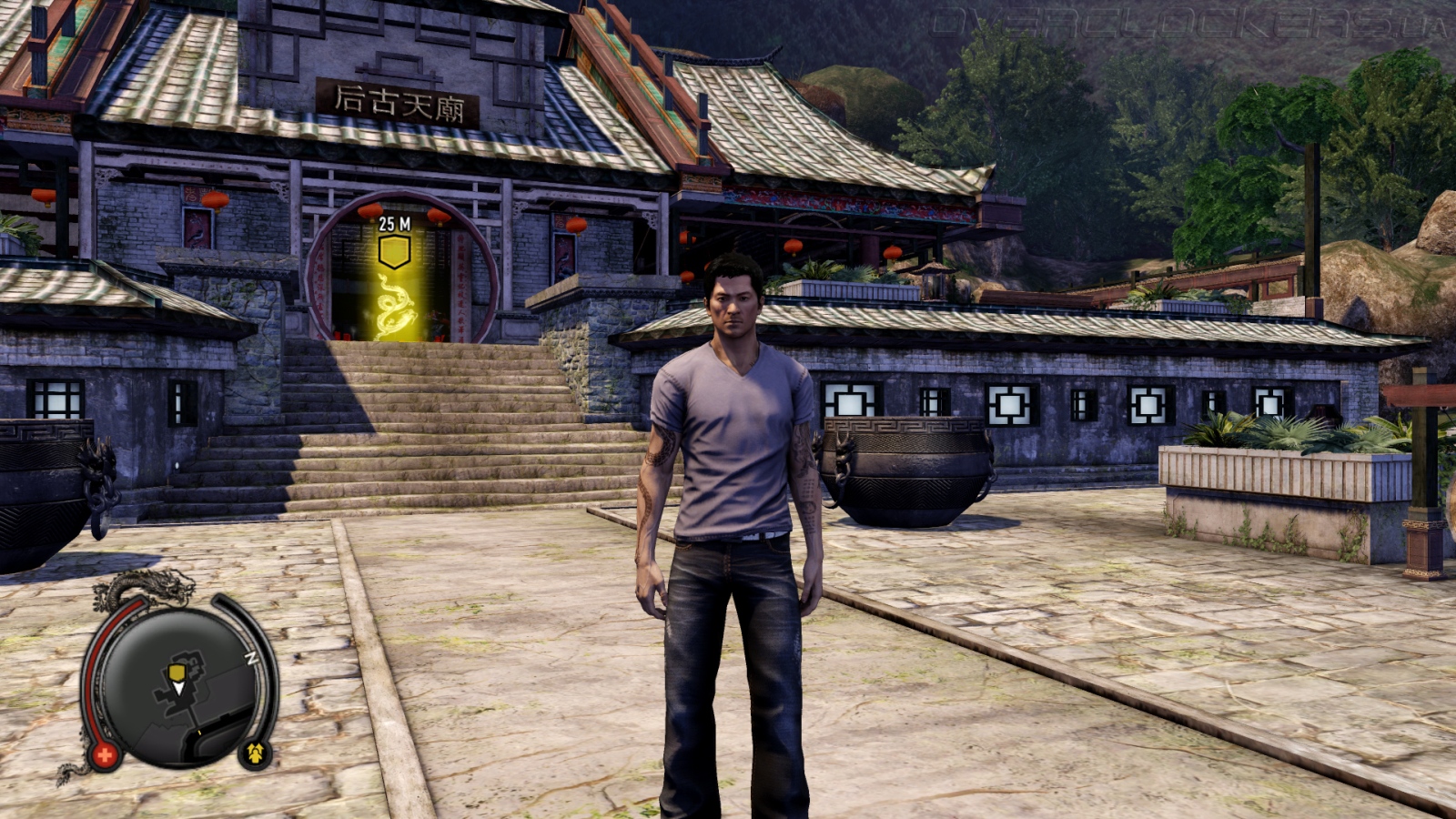 Топ прохождений. Слипинг догс. Игра sleeping Dogs. Sleeping Dogs 2005. Sleeping Dogs 3.