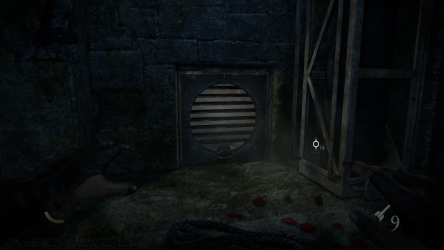 Thief