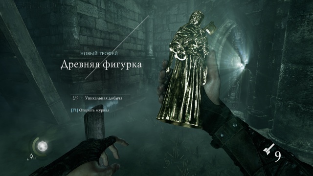Thief