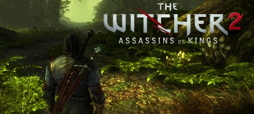 Witcher 2: The Assassins of Kings Witcher 2: The Assassins of Kings