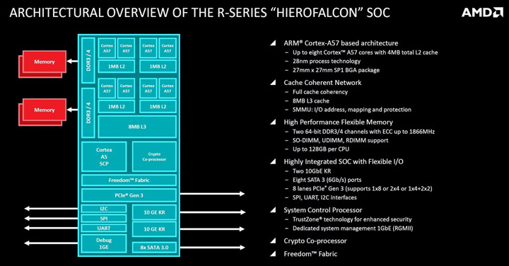 AMD Hierofalcon