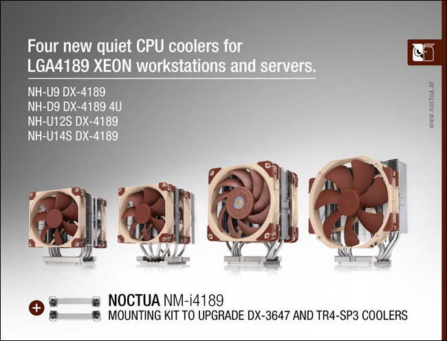 Noctua