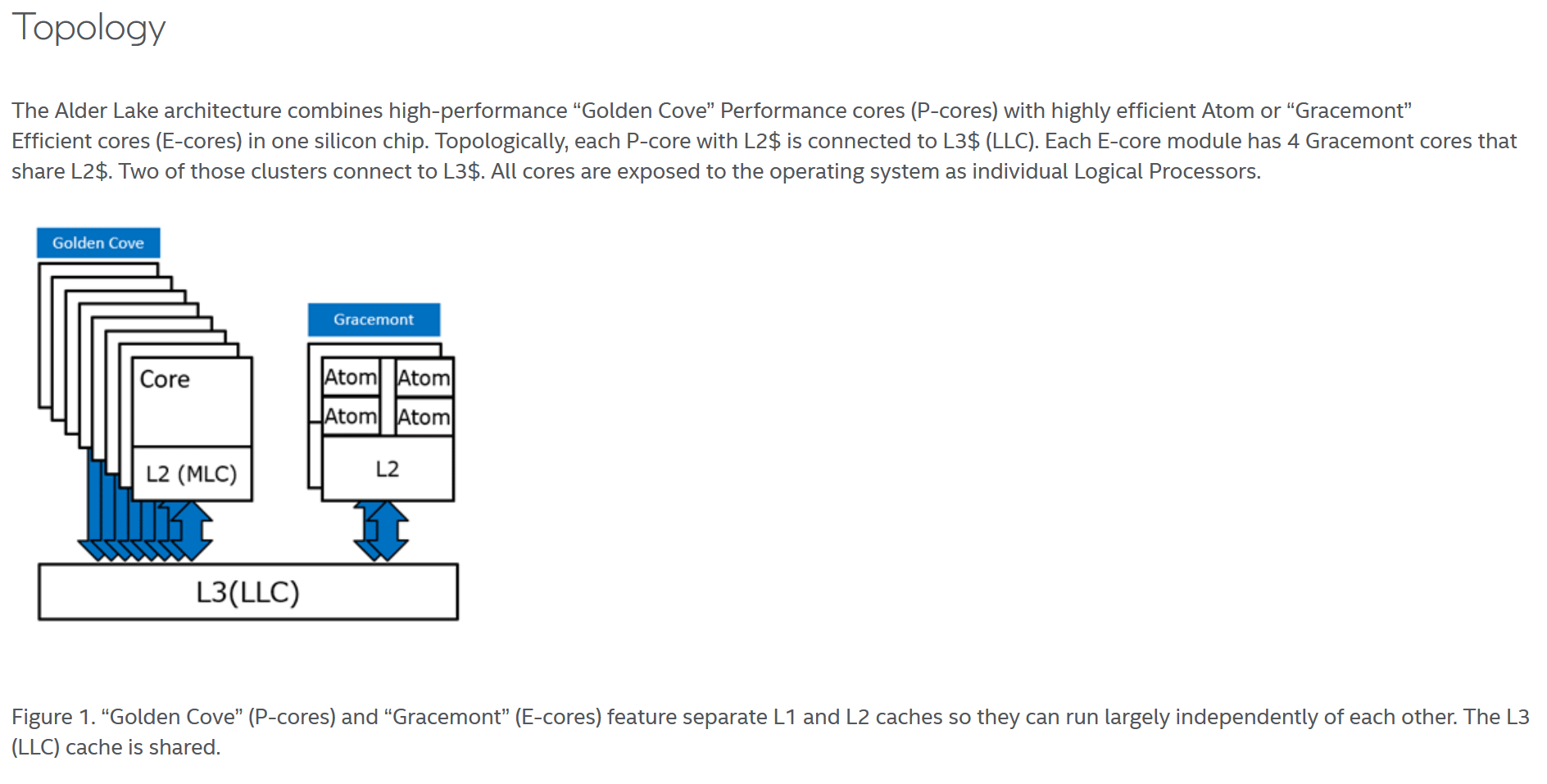 Процесори Intel Alder Lake мають проблеми зі старими версіями Denuvo