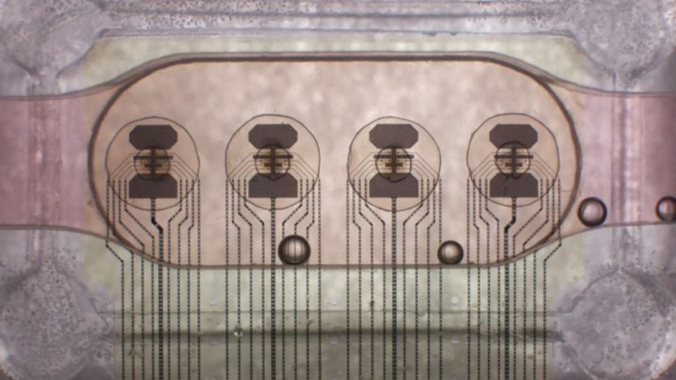 Bioprocessor