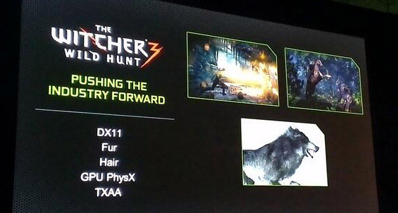 The Witcher 3: Wild Hunt - Nvidia