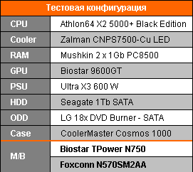Тестирование Biostar TPower N750