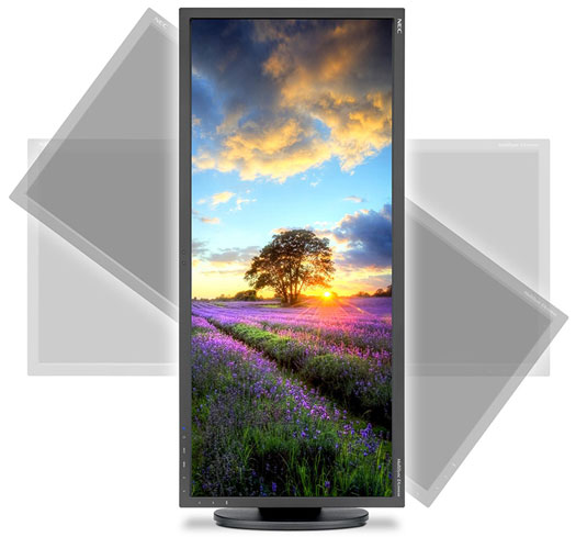 Монитор NEC EA294WMi Монитор NEC EA294WMi