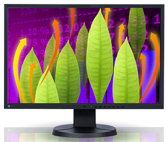 Монитор Eizo FlexScan EV2216W Монитор Eizo FlexScan EV2216W