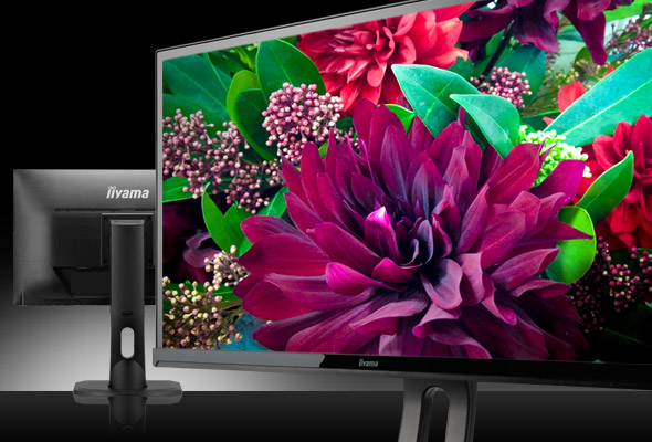 Монитор Iiyama AH-IPS