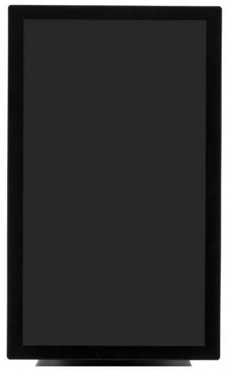 Защищенный монитор Iiyama ProLite T2234MC-B1X