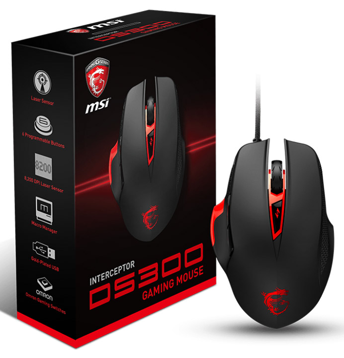 MSI Interceptor DS300