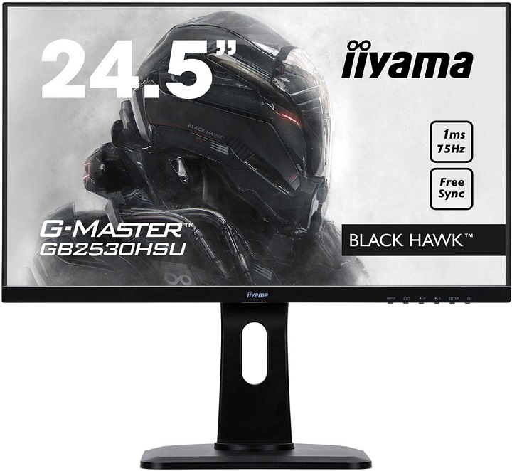 Игровой монитор Iiyama G-Master
