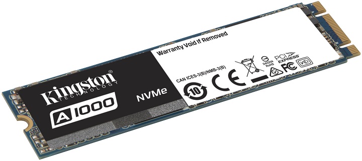 Kingston A1000