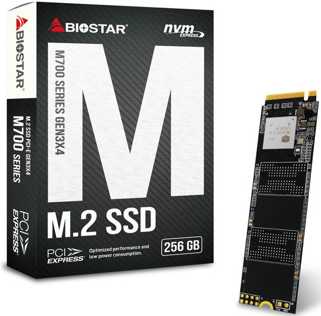 Biostar M700