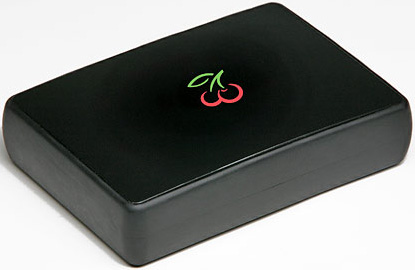 CherryPal C100 CherryPal C100