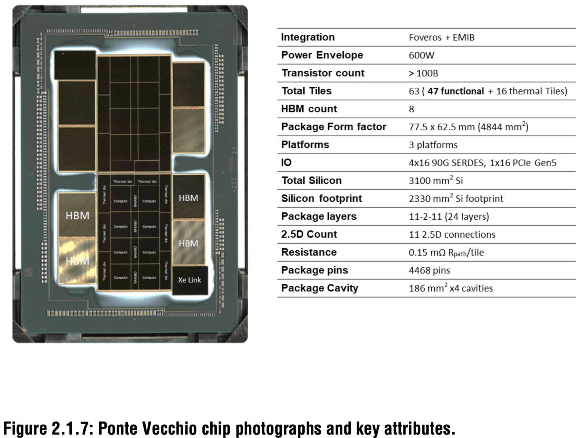 Суммарная площадь кристаллов в ускорителе Intel Ponte Vecchio равна 3100 мм²