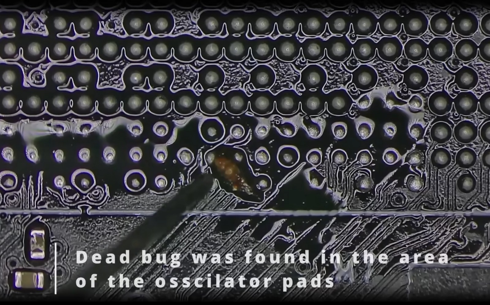 Мастер обнаружил насекомое под GPU при ремонте GeForce RTX 4090