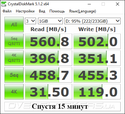 SK hynix Canvas SL308 250GB