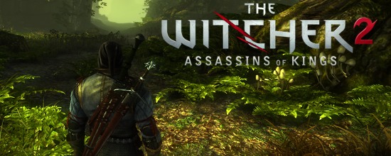 Witcher 2: The Assassins of Kings Witcher 2: The Assassins of Kings